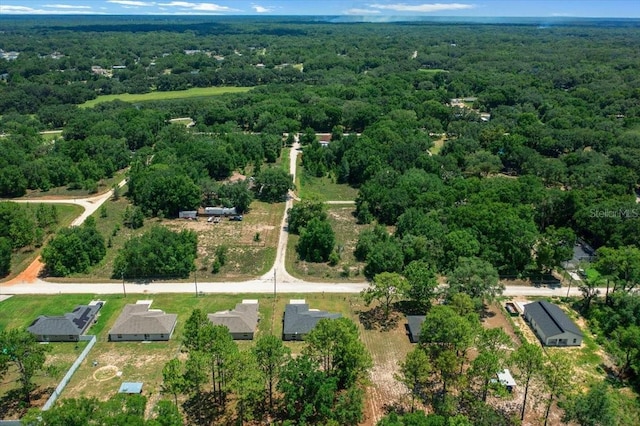 13479 SW 100th Ln, Dunnellon, FL 34432 - bird's eye view of a heavily wooded area
