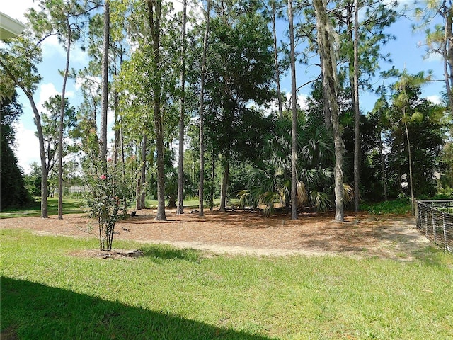 80 Hickory Course Loop, Ocala, FL 34472 - view of green lawn