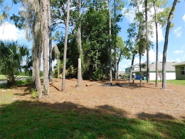 80 Hickory Course Loop, Ocala, FL 34472 - view of yard