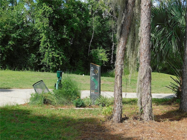 80 Hickory Course Loop, Ocala, FL 34472 - surrounding community with a yard