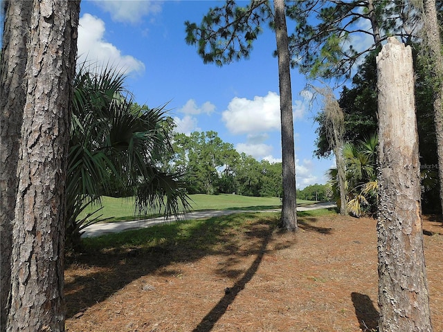 80 Hickory Course Loop, Ocala, FL 34472 - view of yard