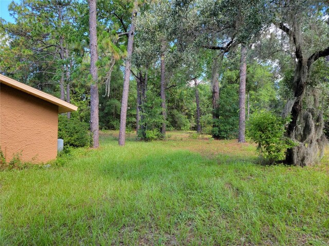 20045 SW 88th Place Rd, Dunnellon, FL 34431 - photo 5