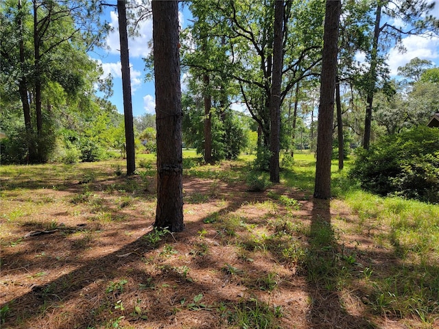 20045 SW 88th Place Rd, Dunnellon, FL 34431 - photo 11