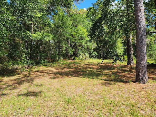20045 SW 88th Place Rd, Dunnellon, FL 34431 - photo 14