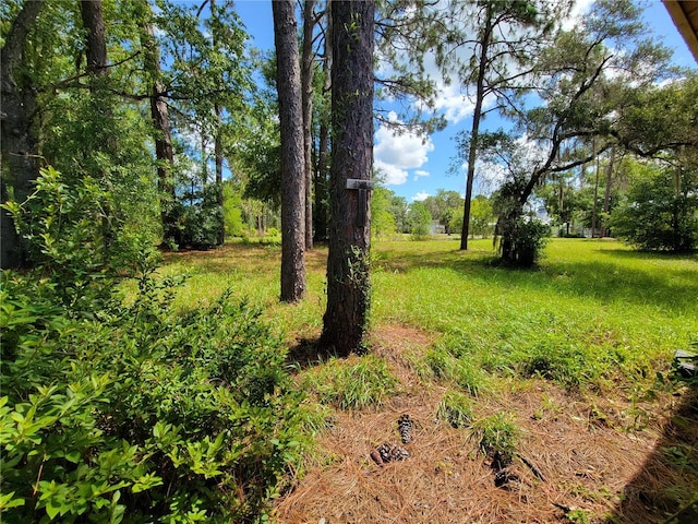 20045 SW 88th Place Rd, Dunnellon, FL 34431 - photo 17