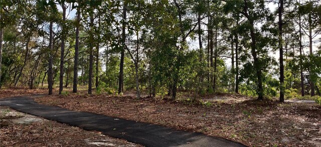 5494 Ocean Breeze Dr, Spring Hill, FL 34609 - view of wooded area