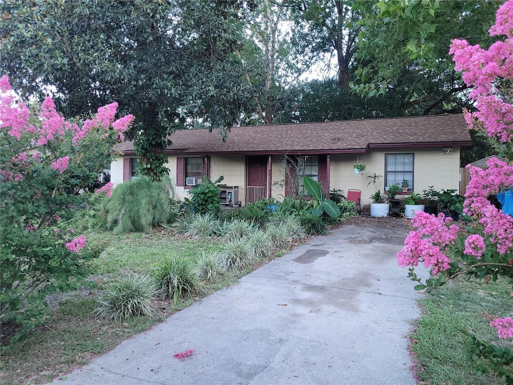 2312 NE 37th St, Ocala, FL 34479 - single story home featuring concrete driveway