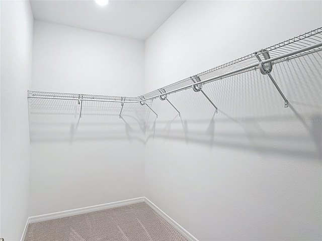 7067 SW 60th Ln, Ocala, FL 34474 - walk in closet featuring carpet floors