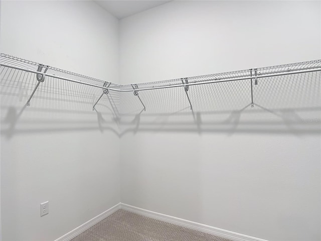 7067 SW 60th Ln, Ocala, FL 34474 - spacious closet featuring carpet flooring