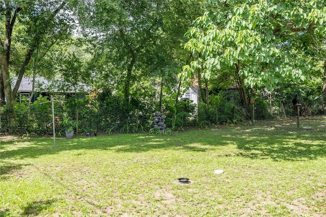 1330 NE 55th St, Ocala, FL 34479 - view of grassy yard