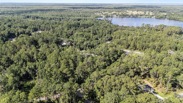 6 Sequoia Loop, Ocklawaha, FL 32179 - view of property location with a forest and a nearby body of water