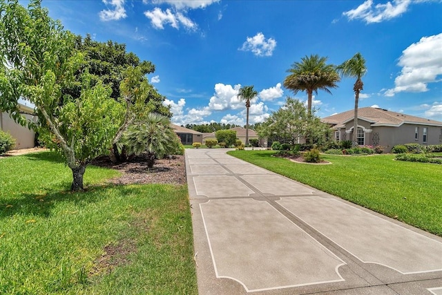 1443 SW 161st St, Ocala, FL 34473 - view of front of property featuring a front yard