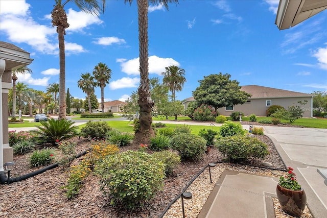 1443 SW 161st St, Ocala, FL 34473 - view of yard