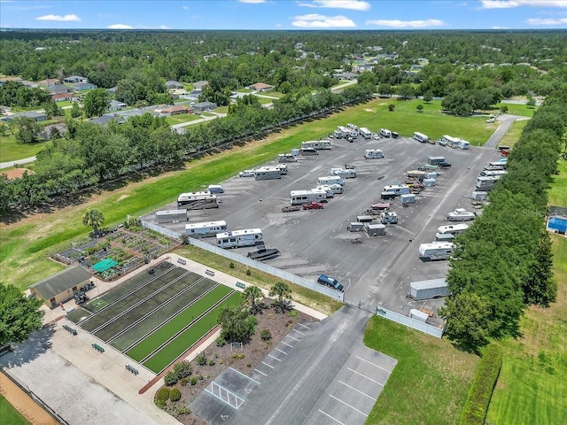 1443 SW 161st St, Ocala, FL 34473 - bird's eye view