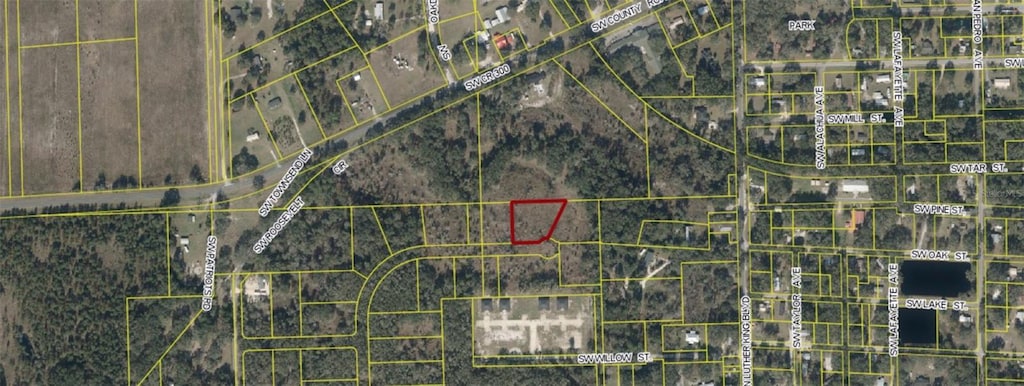 00 SW Roosevelt, Mayo, FL 32066 - photo 3