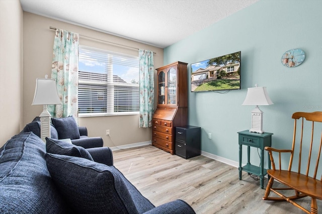 9926 SW 95th Loop, Ocala, FL 34481 - living room featuring light wood-style flooring and a textured ceiling