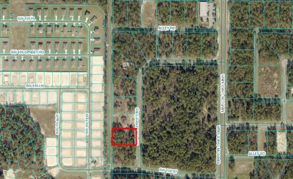 TBA SW 136th St, Ocala, FL 34473 - photo 1