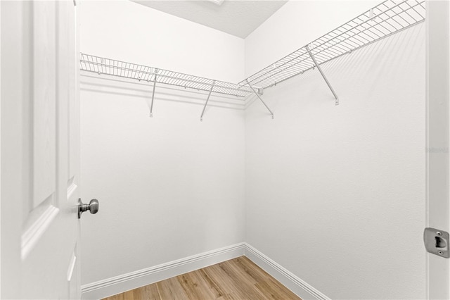 14876 SE 34th Ter, Summerfield, FL 34491 - spacious closet featuring light wood-style flooring