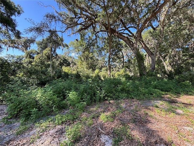 14155 NE 47th Ave, Anthony, FL 32617