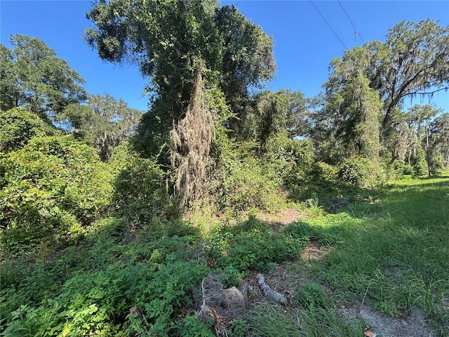 14155 NE 47th Ave, Anthony, FL 32617
