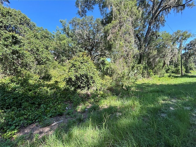 14155 NE 47th Ave, Anthony, FL 32617