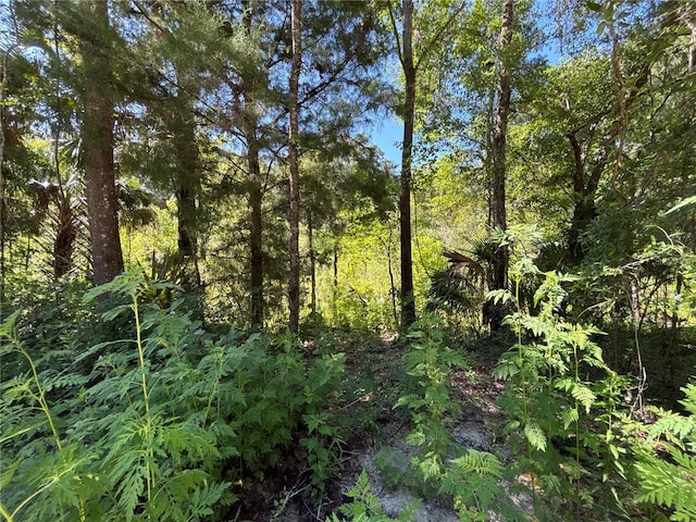 14155 NE 47th Ave, Anthony, FL 32617