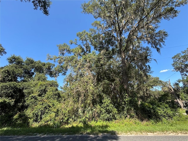 14155 NE 47th Ave, Anthony, FL 32617