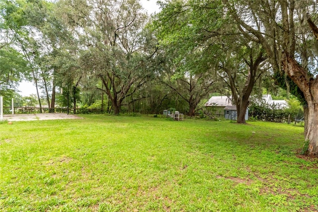 3549 SE 41st Pl, Ocala, FL 34480 - view of grassy yard