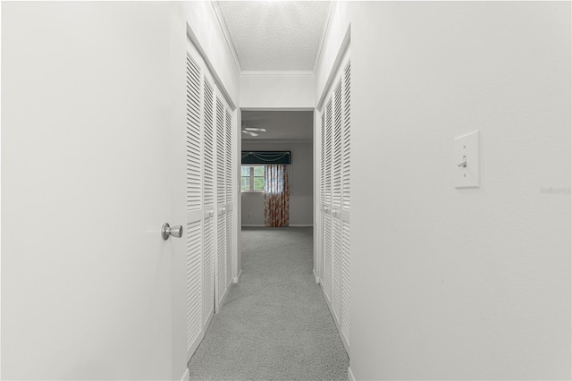 8830 SW 98th Pl Unit M, Ocala, FL 34481 - hallway featuring carpet floors, a textured ceiling, and crown molding