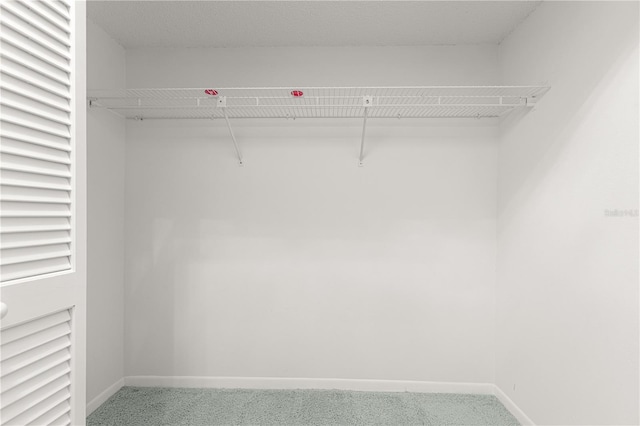8830 SW 98th Pl Unit M, Ocala, FL 34481 - walk in closet with carpet floors