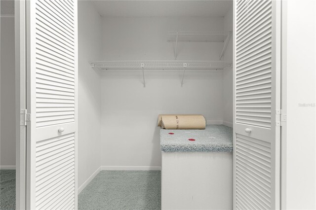 8830 SW 98th Pl Unit M, Ocala, FL 34481 - view of closet