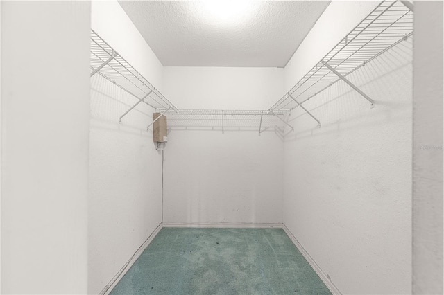 6172 SW 101st Pl, Ocala, FL 34476 - walk in closet featuring carpet