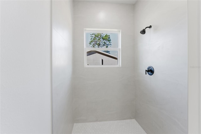 3325 SW 165th Loop, Ocala, FL 34473 - bathroom featuring a tile shower