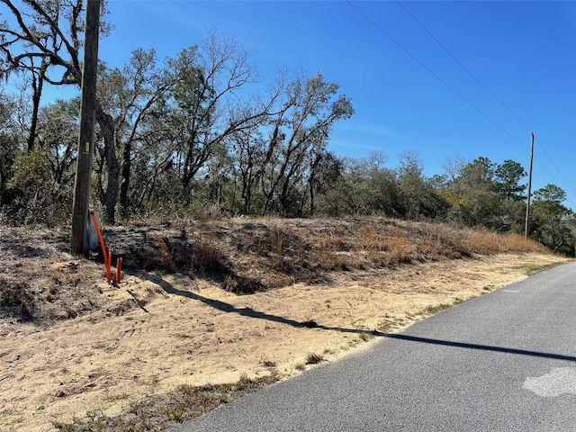 LOTS14 SW Kearney Ln, Dunnellon, FL 34431 - photo 2
