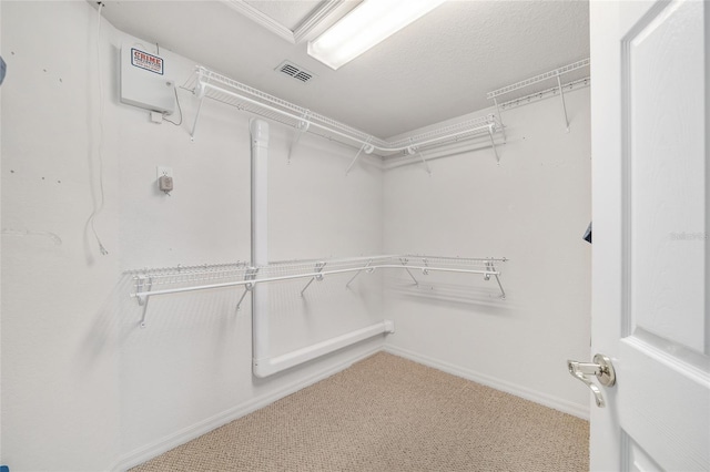 2908 SE 22nd Ave, Ocala, FL 34471 - spacious closet with carpet flooring and attic access