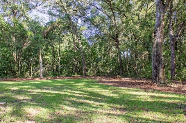 5 Dogwood Trail Crse, Ocala, FL 34472 - photo 44