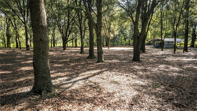 1424 S US-301, Sumterville, FL 33585 - photo 65