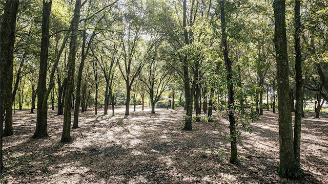 1424 S US-301, Sumterville, FL 33585 - photo 66