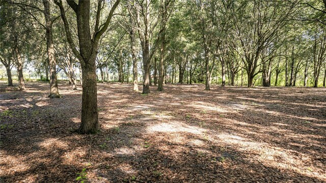 1424 S US-301, Sumterville, FL 33585 - photo 64