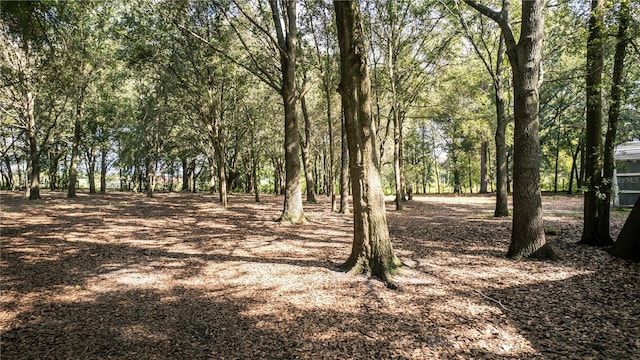 1424 S US-301, Sumterville, FL 33585 - photo 63
