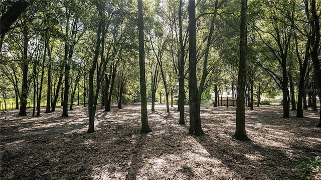 1424 S US-301, Sumterville, FL 33585 - photo 67