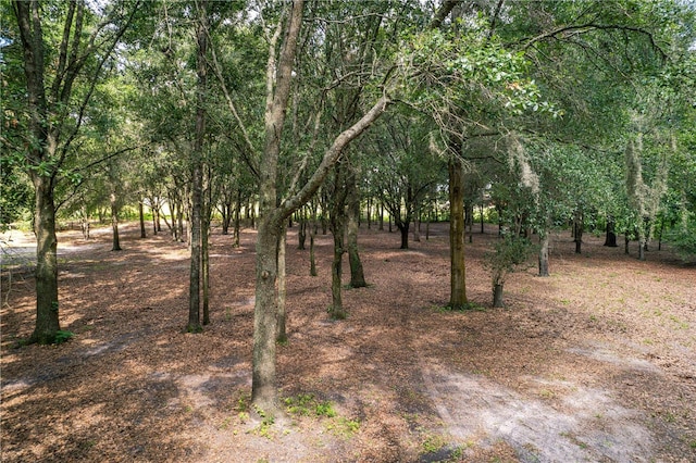 1424 S US-301, Sumterville, FL 33585 - photo 91