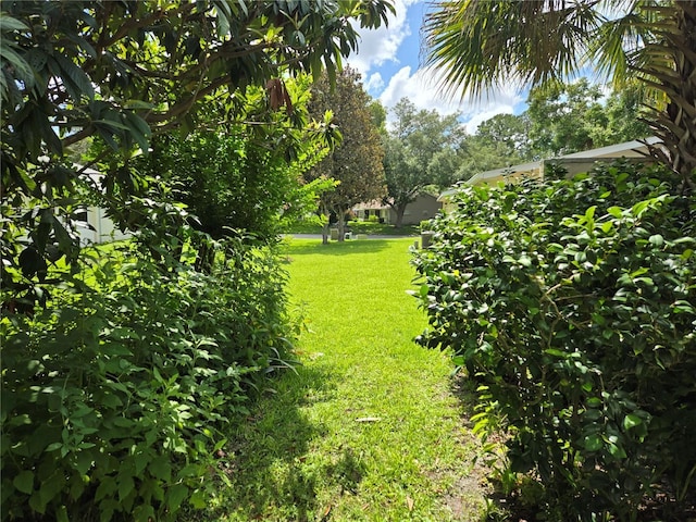 8959 SW 96th Ln Unit A, Ocala, FL 34481 - photo 47
