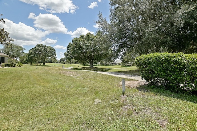 13170 SE 92nd Court Rd, Summerfield, FL 34491 - view of grassy yard