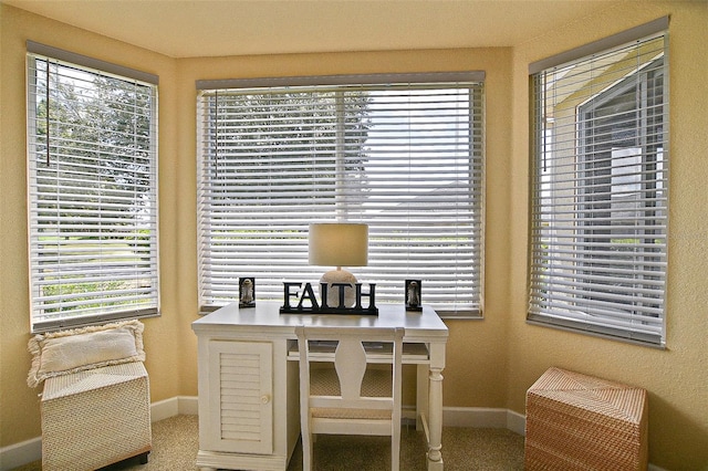 13170 SE 92nd Court Rd, Summerfield, FL 34491 - office space featuring carpet floors and plenty of natural light