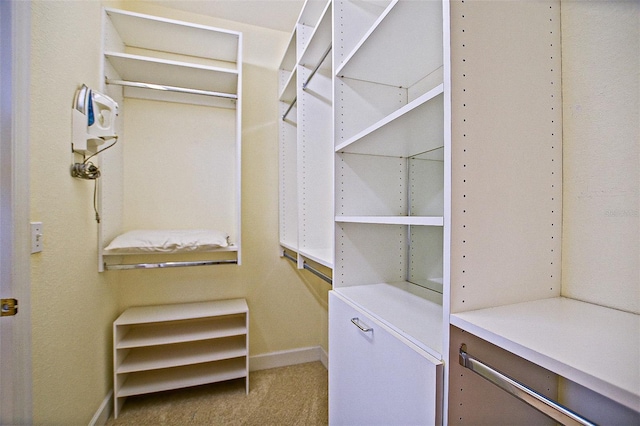 13170 SE 92nd Court Rd, Summerfield, FL 34491 - walk in closet with carpet