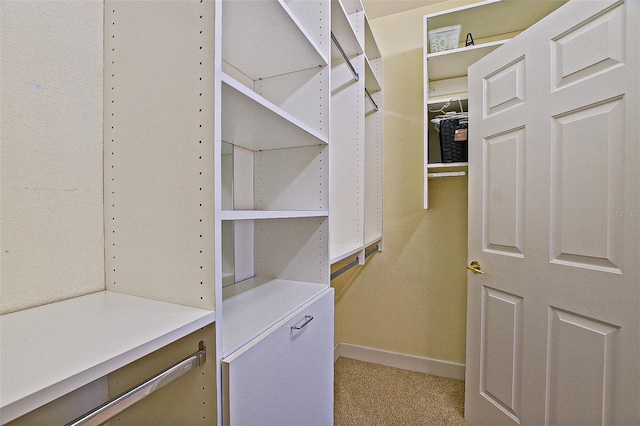 13170 SE 92nd Court Rd, Summerfield, FL 34491 - walk in closet featuring light colored carpet