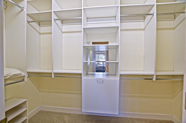 13170 SE 92nd Court Rd, Summerfield, FL 34491 - walk in closet featuring carpet