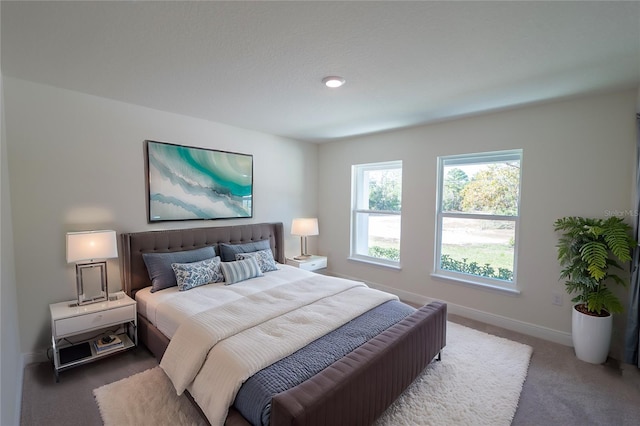 2850 W Camilo Dr, Citrus Springs, FL 34434 - bedroom featuring carpet flooring and baseboards