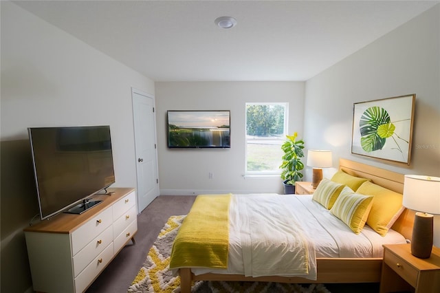 2850 W Camilo Dr, Citrus Springs, FL 34434 - bedroom with carpet flooring and baseboards
